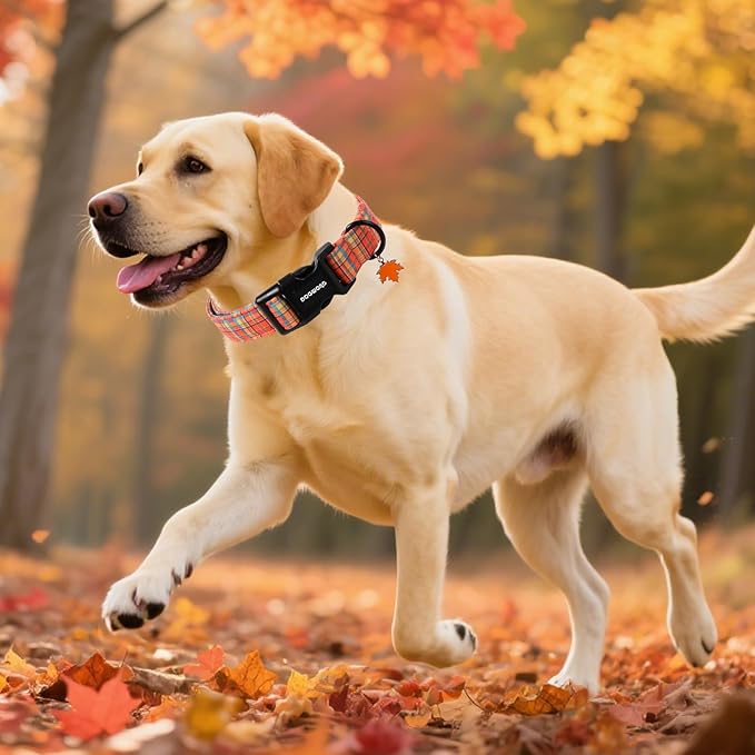 DOGWONG Fall Maple Dog Collar- Cute Classic Fall Autumn Flower Dog Collars Adjustable Fall Dog Collar for Small Medium Large Dogs M