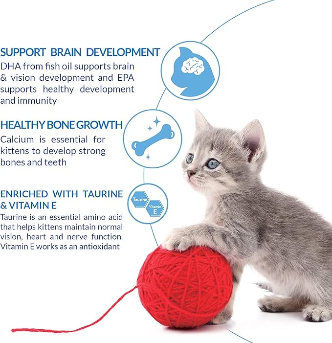 INABA Churu for Kittens, Grain-Free Creamy, Purée Lickable Cat Treats with DHA, EPA, Vitamin E & Taurine, 0.5 Ounces Each, 24 Tubes (4 per Pack), 2 Flavor Variety Pack