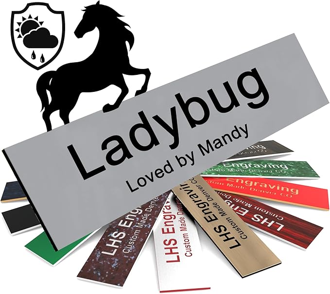 Personalized Horse Stall Name Plates, 2x12 Horse Stall Signs with Adhesive, All Weather UV Protected, Gray Plastic with Black Letters - Made in USA - B8