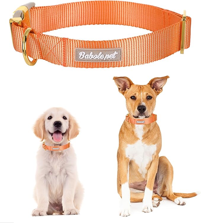 Nylon Dog Collar - Adjustable Orange Soft Webbing Dog Collars for Small Medium Large Dogs Boy Girl Puppy Collar with Safety Metal Buckle M
