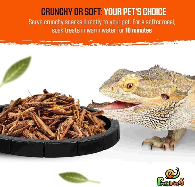 Medley Treat Bearded Dragon Food - Freeze Dried Mealworms, Grasshoppers, Crickets, Quality Tested, Vitamin & Calcium Enriched, Essential Proteins, Fats & Minerals - for Bearded Dragons, Reptiles 6 oz