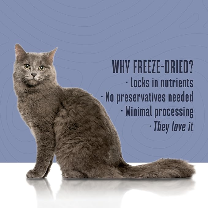 Whole Life Cat Freeze Dried Cat Food - Human-Grade Wet Food Toppers, Single Ingredient Snacks & Lickable Treats, Instantly Hydrating Natural Broth Just Add Water, Made in USA - Salmon & Tuna, 3 Oz