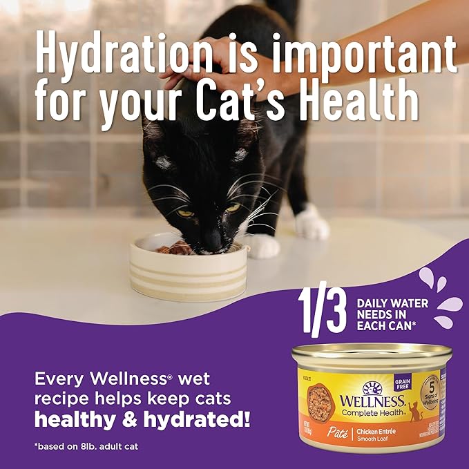 Wellness Complete Health Gravy Adult Wet Cat Food, Natural, Protein-Rich, Grain Free, 3 Ounce, 12 Pack, (Chicken Dinner)