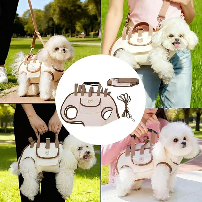 Portable Small Dog & Cat Pet Carrier Sling & Backpack for Small Dogs & Cats & Puppy, Dog & Pet Purse Bag Carrier Sling for Small Dogs with Dog Traction Leash, Crossbody Sling Carriers (Black M)