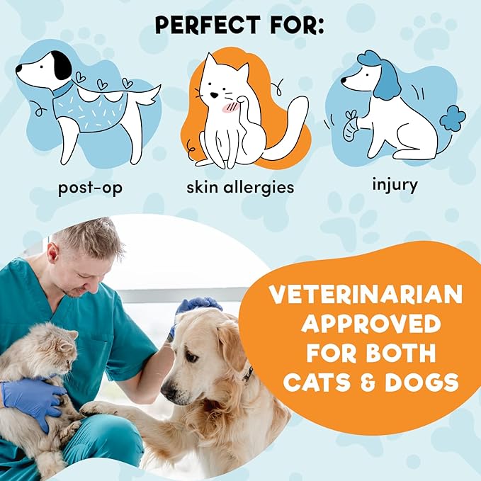 BENCMATE Inflatable Dog Cone Collar Alternative, Soft Dog Cone for Small Medium Large Dogs and Cats, Neck Recovery ECollar Donut Collar After Surgery (Large, Rainbow)