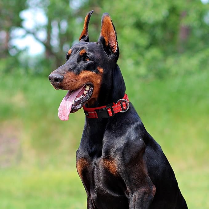 EXCELLENT ELITE SPANKER Reflective Dog Collar Classic Soft Padded Breathable Nylon Adjustable Pet Collar with Quick Release Buckle for Boy Girl Male Female Small Medium Large Dogs Training(Red-XL)