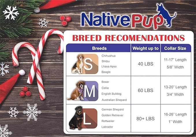 Native Pup Christmas Dog Collar- Winter Holiday Collars for Pets- Xmas Gift for Puppy- Santa, Reindeer, Snowman, Candy Cane, Red Green- Girl Boy- Small, Medium, Large Breeds (Red Snowflake, Medium)