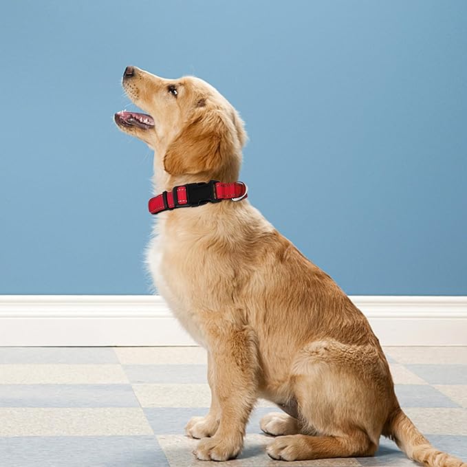 Reflective Dog Collar, Adjustable Soft Neoprene Padded Nylon Pet Collars with Buckle for Puppy and Small Dogs, Cats, Red,XS