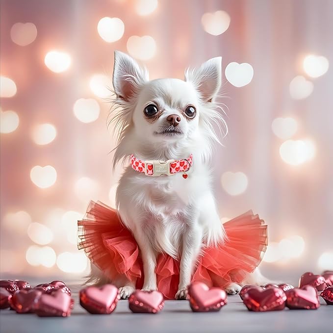 Valentines Dog Collar for Large Dogs - Valentine Red Conversation Hearts Dog Collars, Love Boy Girl Dogs Collars, Lightweight Adjustable Cute Puppy Collar with Quick-Release Buckle XL
