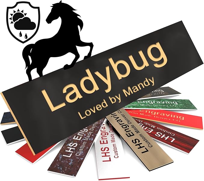 Personalized Horse Stall Name Plates, 2x12 Horse Stall Signs with Adhesive, All Weather UV Protected, Black Plastic Gold Letters - Made in USA - B3