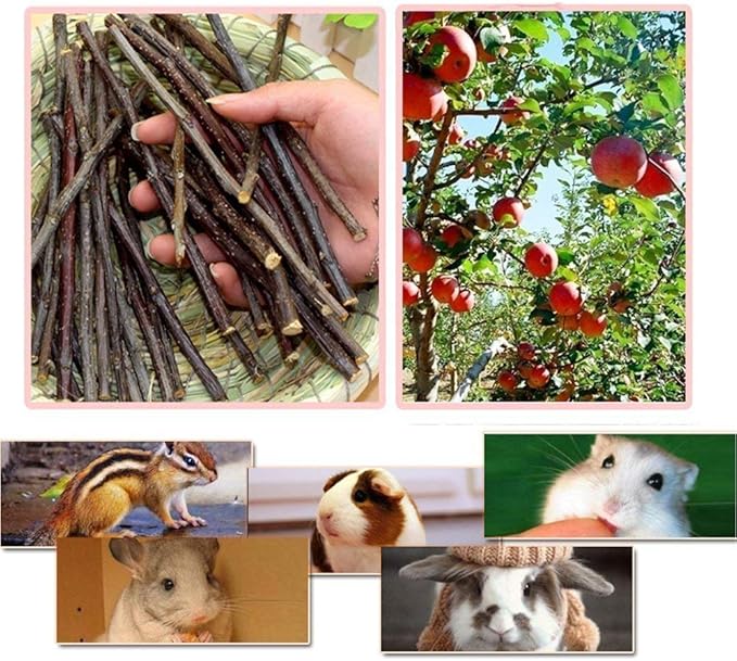 William Craft Apple Sticks Pet Chew Toys Treats for Chinchilla Guinea Pigs Rabbits Squirrel Hamster Bunny
