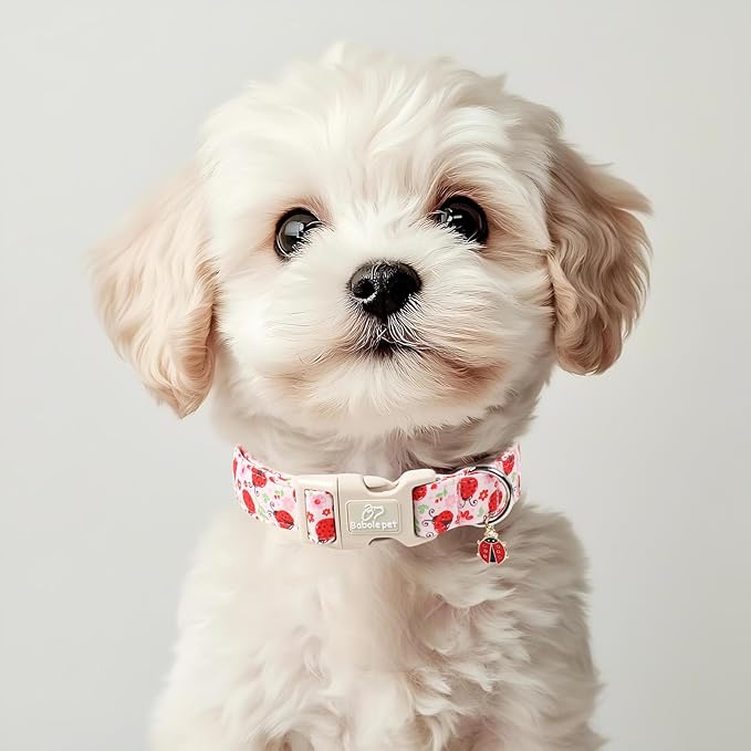 Lucky Ladybug Dog Collar for Puppy Small Dogs - Sweet Pink Girl Dog Collars, Lightweight Adjustable Spring Garden Mom Dogs Collars with Quick Release Buckle XS