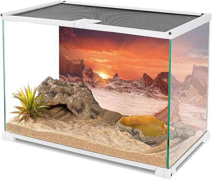 AWERT 24x12 inches Sun and Desert Terrarium Background Orange Reptile Habitat Background Durable Polyester Background