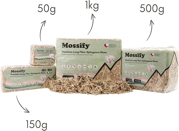 Mossify Premium Sphagnum Moss for Plants 1kg, 2.2 lbs - Long Fiber Moss for Plants Indoor, Orchids, Terrariums, Gardening, Reptiles – Moisture Plant Moss for Propagation, Soil & Habitat Bedding