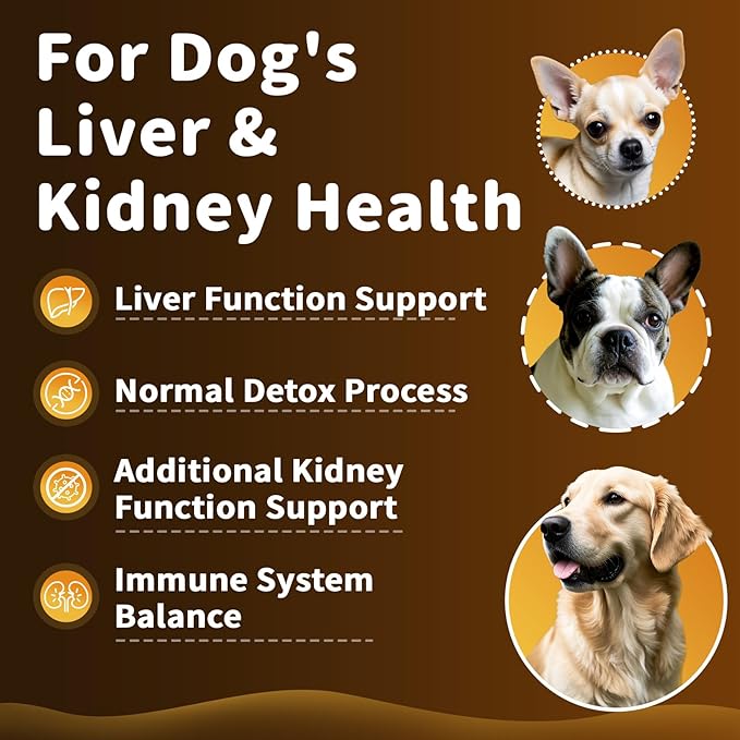 Milk Thistle for Dogs – 9-in-1 Liver and Kidney Support Drops with Artichoke, Resveratrol, Marigold Extract, 100% Natural Detox Supplement for Liver Function, Split Dropper, Bacon Flavor, 2Oz