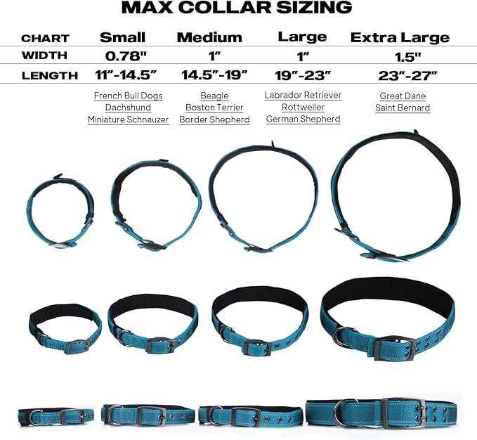 PetiFine Dog Collars for Medium Dogs, Neoprene Padded and Adjustable, Reflective Wide Heavy Duty Pet Collars with Durable Metal Belt Buckle for Walking, Blue, M