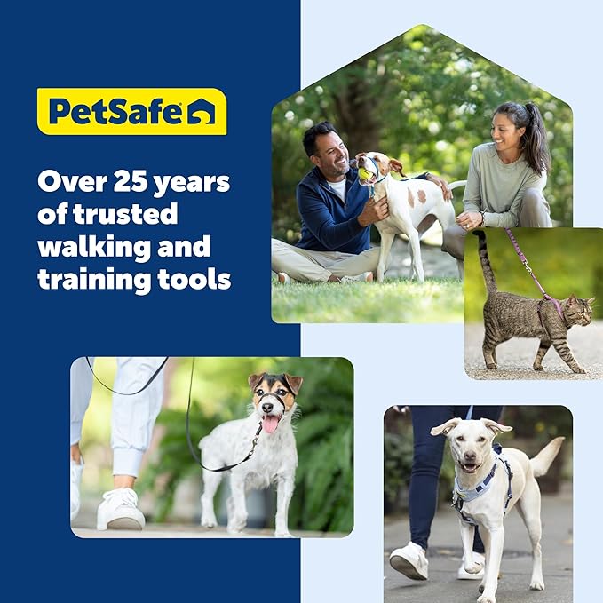 PetSafe Gentle Leader Headcollar No-Pull Dog Collar - Helps Improve Walks - Durable Nylon Construction - Padded Nose Loop - Adjustable Fit - Comfort Walking Halter - Large, Royal Blue