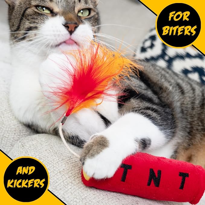 Cat Toy TNT, Cat Toys for Indoor Cats, Kitten Toys, Catnip Toys for Cats of All Breeds with Dangle Feathers and Jingle Sound - Kicking, Biting, Chewing