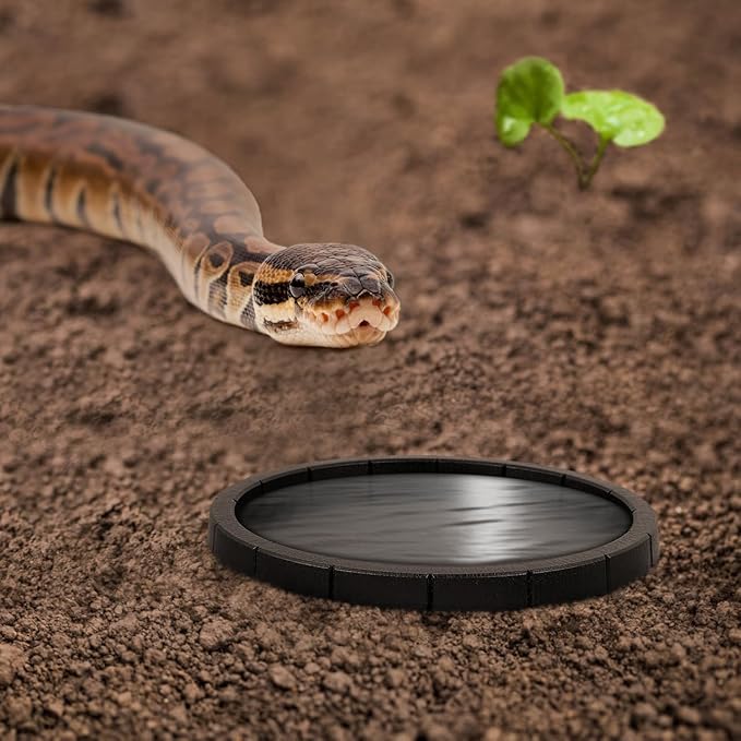 Popetpop 2 Pcs Reptile Feeding Dish: Plastic Turtle Food Bowl, Reptile Food Dish for Tortoise, Leopard Gecko, Lizard, Bearded Dragon, Snake Drinking and Eating (Black, 6.9 Inch)