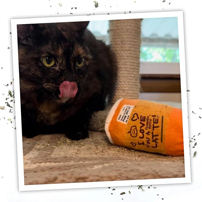 Meowijuana Fall Favorites Bundle | Pumpkin Spice Latte Refillable Toy, Harvest Moon Blend, Pumpkin Knock ‘n’ Nibble Toy, Chicken Crunchie Munchie Treats | Includes North American Organic Catnip