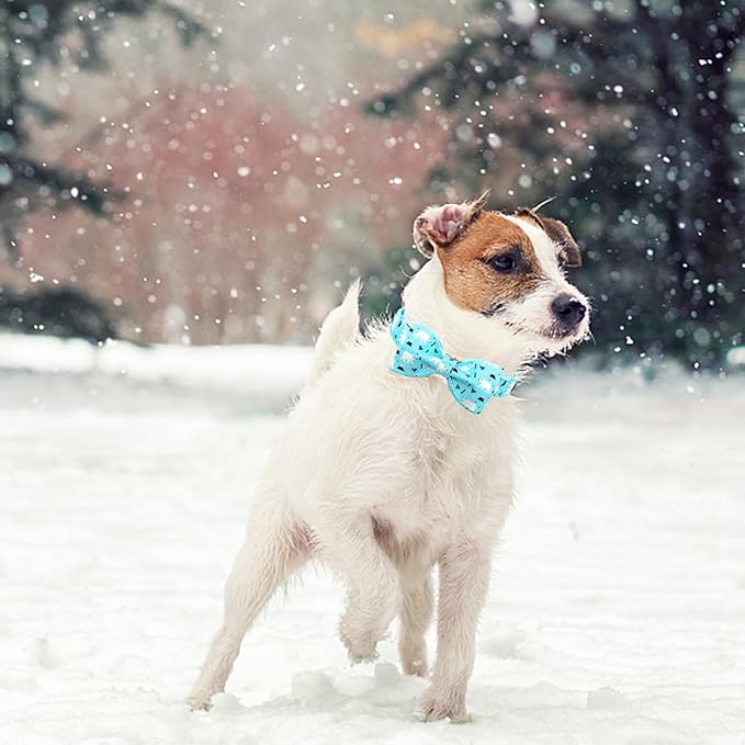 Dog Collar, Bow Collar Blue Bear Pattern Pet Collar Cute Bow Tie Soft Girl Boy Dog Collars with Metal Buckle for Medium Dogs
