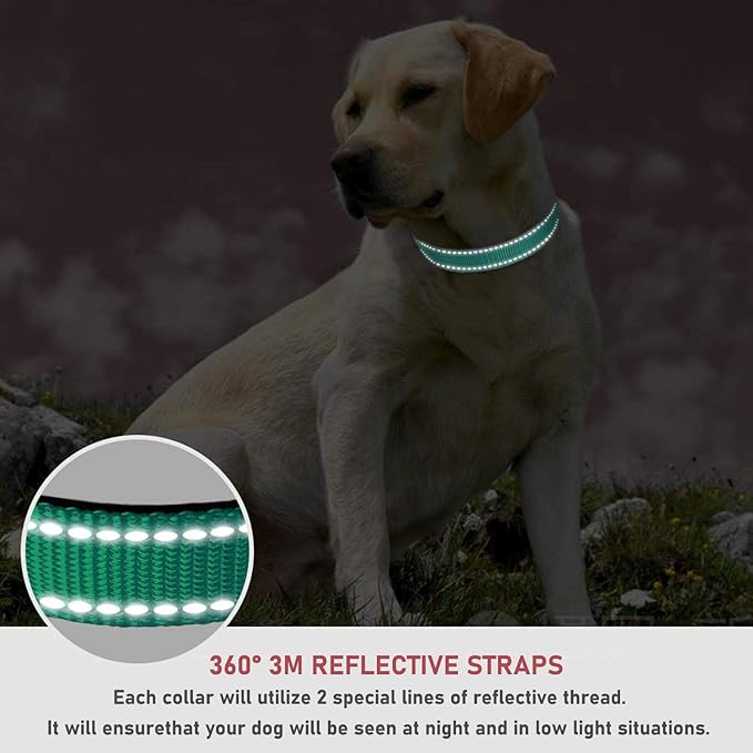 Reflective Dog Collar with Buckle Adjustable Safety Nylon Collars for Small Medium Large Dogs, Teal XXS