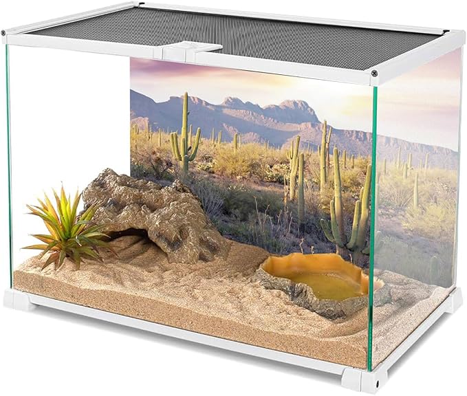 AWERT Reptile Habitat Background Blue Sky Oasis Mountain Cactus Sun and Desert Terrarium Background 36x24 inches