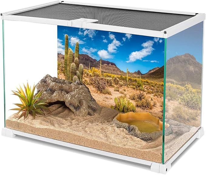 AWERT 30x12 inches Reptile Habitat Background Blue Sky Oasis Cactus Desert Terrarium Background Vinyl