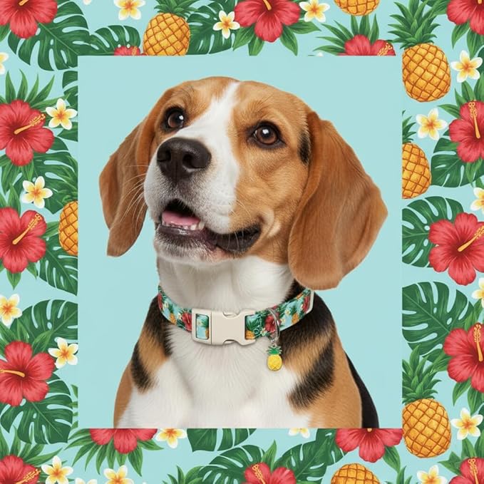 Summer Dog Collar with Tropical Pattern, Cute Dog Collar for Girl Boy Dogs, Pet Collar with Unique Print and Soft Fabric, Suitable for Medium Dogs