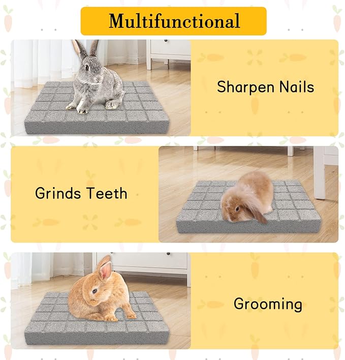 BNOSDM Rabbit Grinding Claw Pads 2Pack Bunny Scratch Foot Pads Natural Hamster Lava Stone for Teeth Grinding White Rabbit Scratching pad Chew Toy for Guinea Pig Ferret Chinchilla Mouse