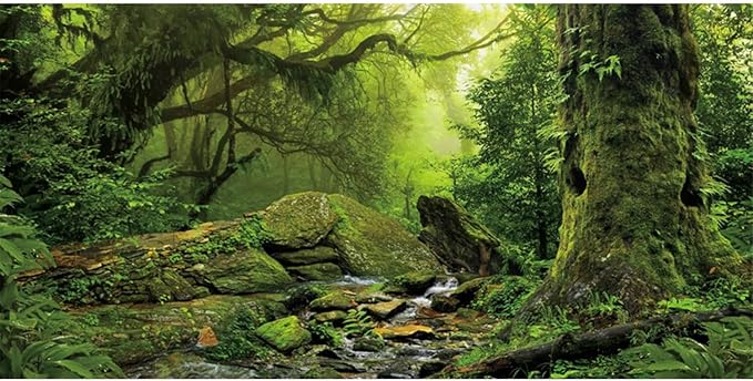 AWERT Tropical Forest Terrarium Background Stream Green Huge Tree Reptile Habitat Background Foggy Rainforest Aquarium Background 30x18 inches Polyester Background
