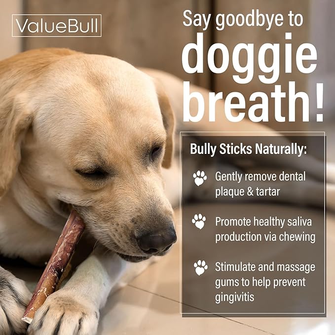 ValueBull Bully Sticks for Small Dogs, Thin 12 Inch, 200 Count Bulk Pack - All Natural, Grass Fed, Single Ingredient, Long Lasting Dog Treats