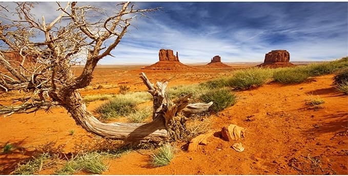 AWERT 24x12 inches Reptile Habitat Background Orange Desert Terrarium Background Durable Polyester Background