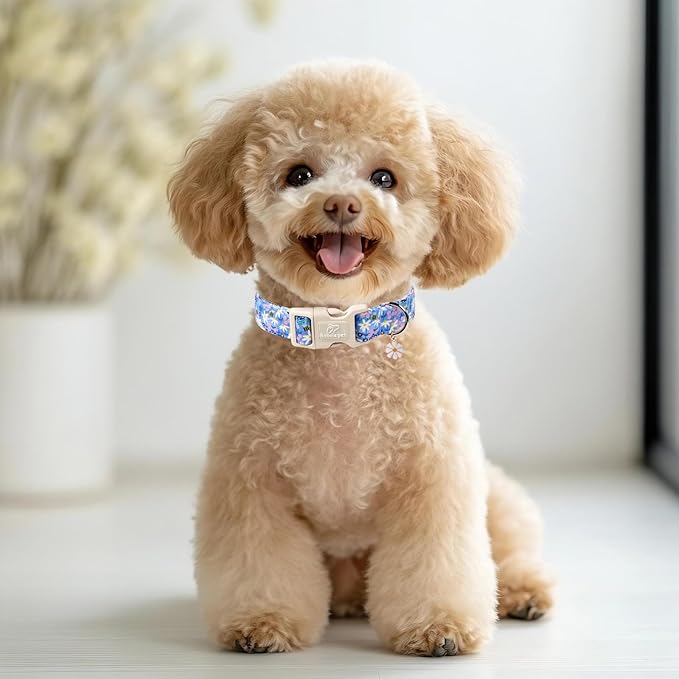 Floral Dog Collar for Small Dogs - Cute Spring Dog Collars, Soft Lightweight Bee & Daisy Puppy Collar, Breathable Adjustable Male Female Blue Wildflowers Dogs Collars S