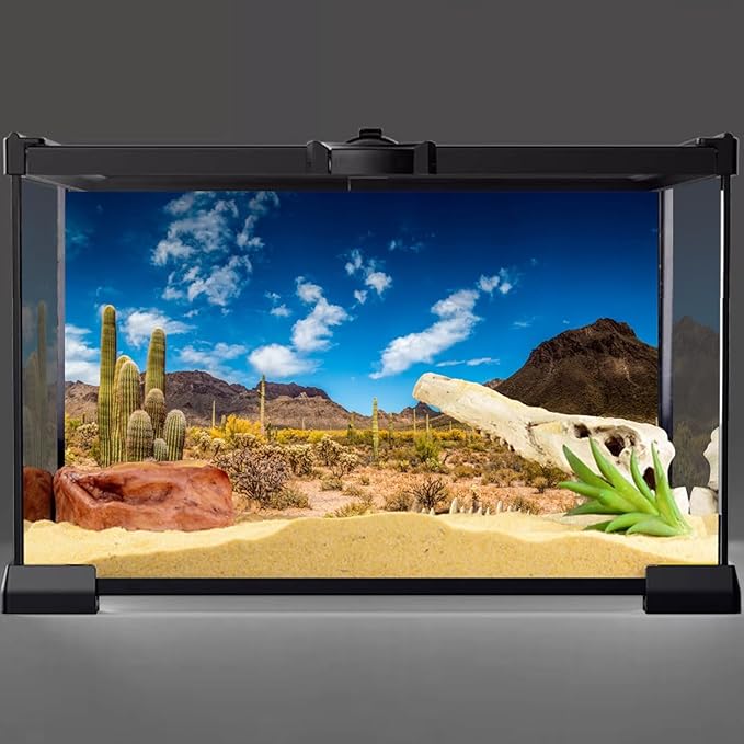 AWERT 30x12 inches Reptile Habitat Background Blue Sky Oasis Cactus Desert Terrarium Background Vinyl