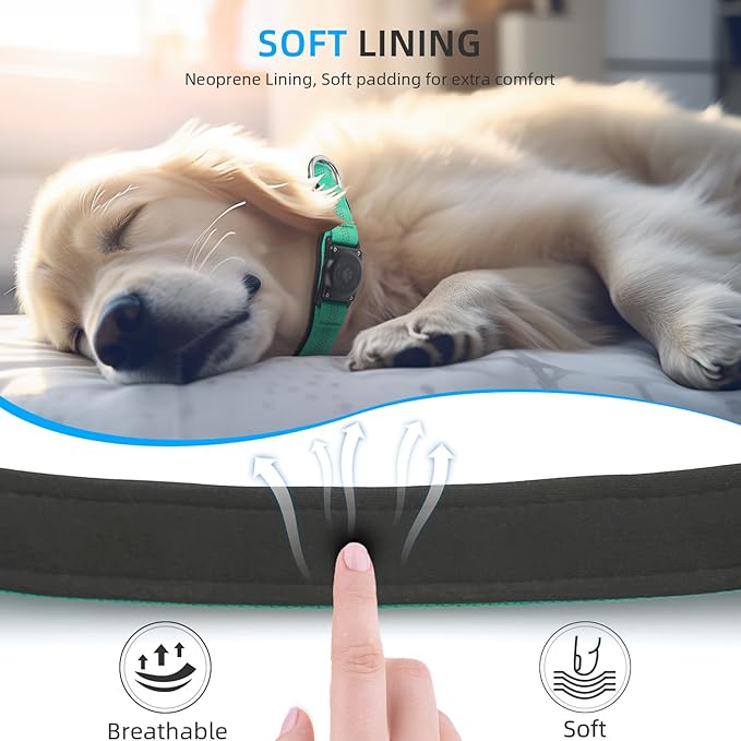 Upgraded AirTag Dog Collar, IP68 Waterproof Air Tag Dog Collar Holder, Reflective, Ultra-Durable, Comfortable Padded, Heavy Duty Dog Collars for Small Medium Large Dogs (XS (10.25"-13"), Teal)