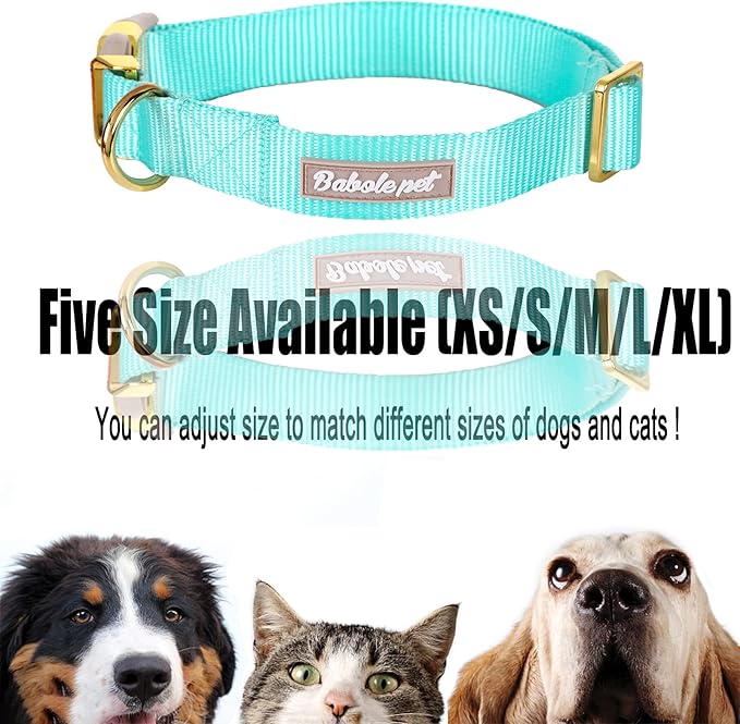 Nylon Dog Collar - Adjustable Lake Blue Soft Webbing Dog Collars for Small Medium Large Dogs Boy Girl Puppy Collar with Safety Metal Buckle S