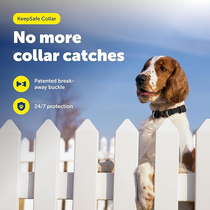 PetSafe KeepSafe Collar for Dogs - Protects Against Collar Accidents - Long Lasting - Durable - Adjustable - Breakaway - Outdoor-Safe - Medium - 3/4 In. Wide - Black