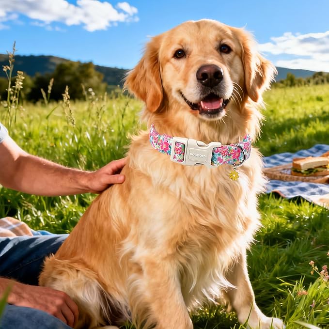 DOGWONG Spring Flower Dog Collar-Cute Floral Daisy Dog Collar, Adjustable Soft Girl Female Dog Collar for Small Medium Dogs, M