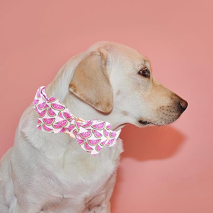 Elegant little tail Dog Collar, Watermelon Print Pet Collar Summer Dog Collar Durable Metal Buckle Dog Collars Cotton Pet Adjustable Dog Collars for Medium Dogs