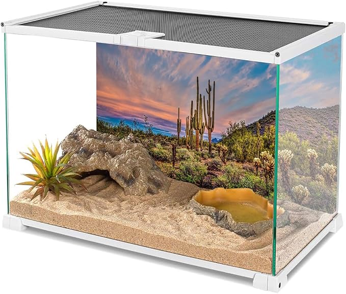 AWERT 36x20 inches Terrarium Background Blue Sky Cloud Huge Cactus Oasis Gobi Reptile Habitat Background Vinyl