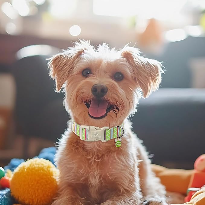 Easter Dog Collar for Medium Dogs - Brightly Colored Stripe Easter Collars for Boy Girl Dogs, Adjustable Spring Holiday Pet Collars with Quick Release Buckle M