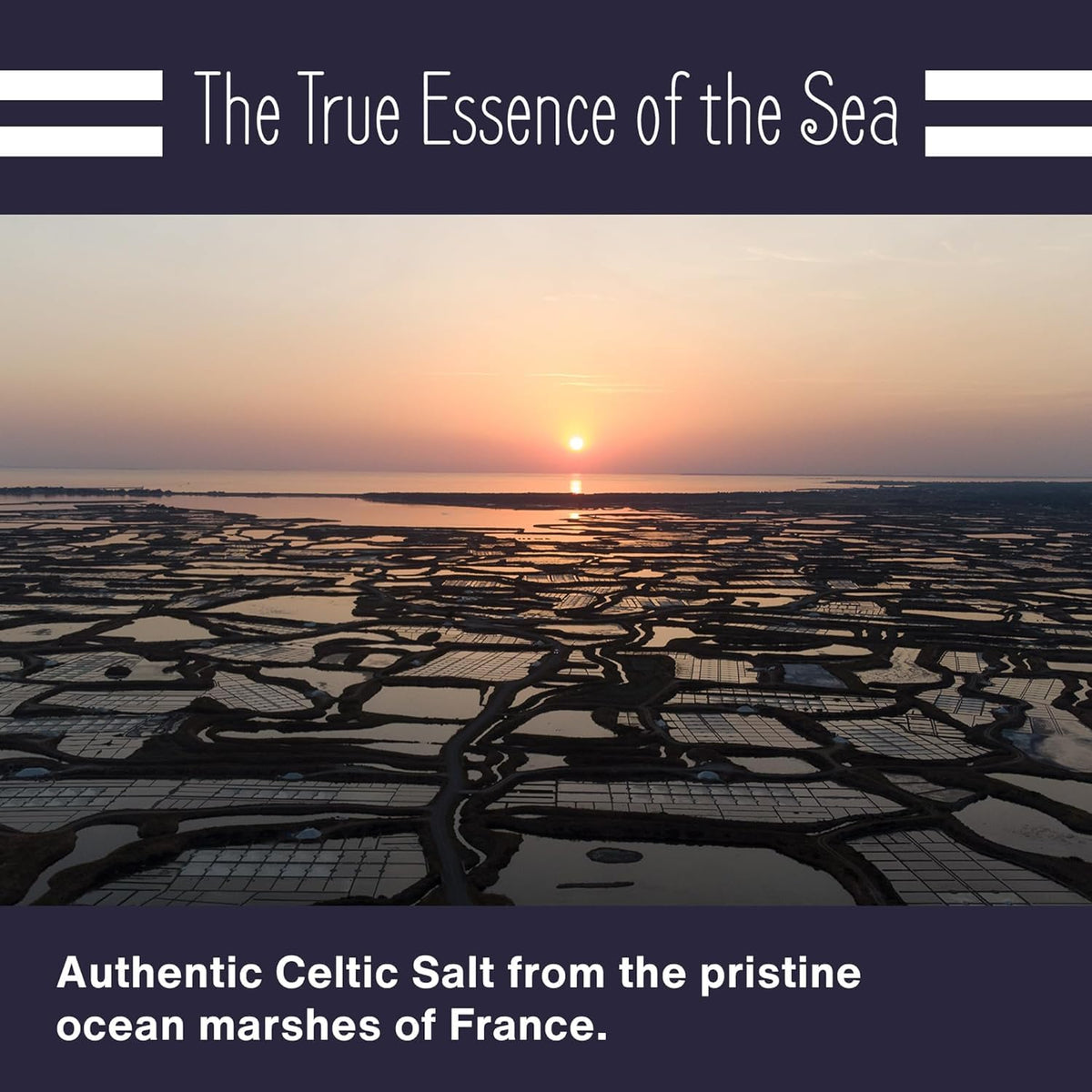 Le Marinier Celtic Salt Organic Fine Ground, 1.1lb - 18oz. Mineral Rich. 100% Natural and Unrefined. French Sea Salt Organic Vital Minerals. Hand Harvested Mineral Salt (1.1lb Fine Ground)