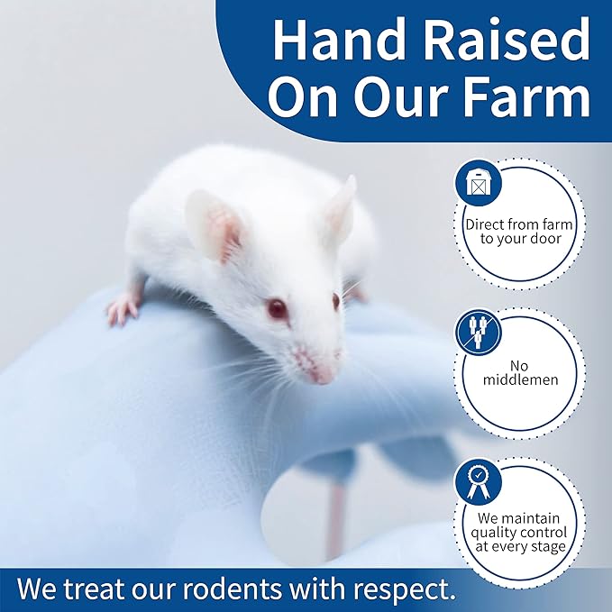 MiceDirect 30 Frozen Rat Combo Pack 15 Small and 15 Medium Feeders Snake Food (4.5-8 in)(Pack of 30)(1800 Grams Min)
