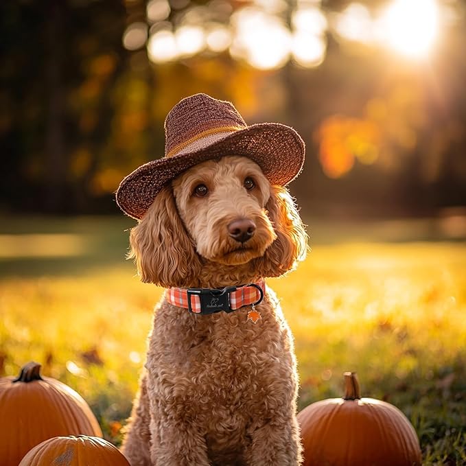 Fall Dog Collar Cute Orange Plaid Puppy Collar - Light Comfortable Adjustable Pet Collars for Small Medium Large Girl Boy Dogs M