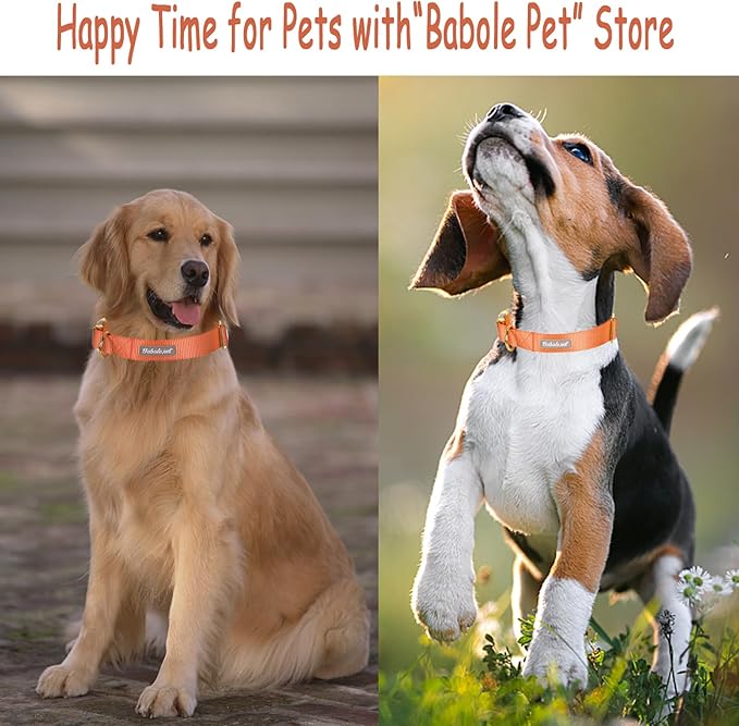 Nylon Dog Collar - Adjustable Orange Soft Webbing Dog Collars for Small Medium Large Dogs Boy Girl Puppy Collar with Safety Metal Buckle M