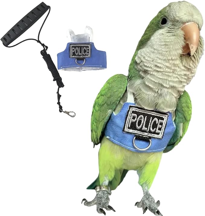 Bird Flight Harness Vest, Parrot Flight Suit with Leash, Bird Flying Clothes with Rope and Handle for Outdoor Activities (with Leash,Budgie)
