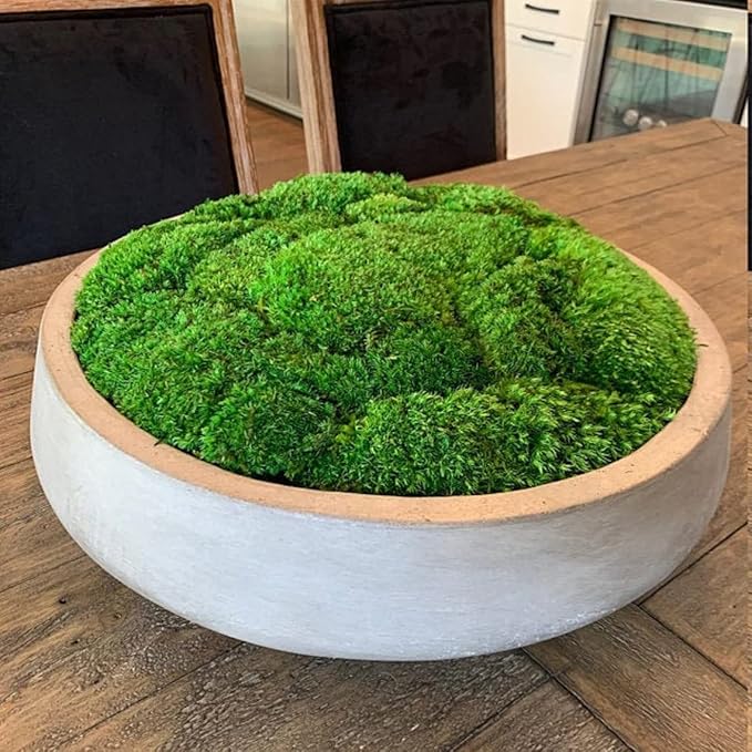 Preserved Pole Moss Pillow Bun Cushion Natural Green Decorative Real Natural Green DIY Kit Terrariums Gardenning Art Wall Decor Florist Decor Easter Table Decor Wedding(6.0 sq.ft., Green-B)