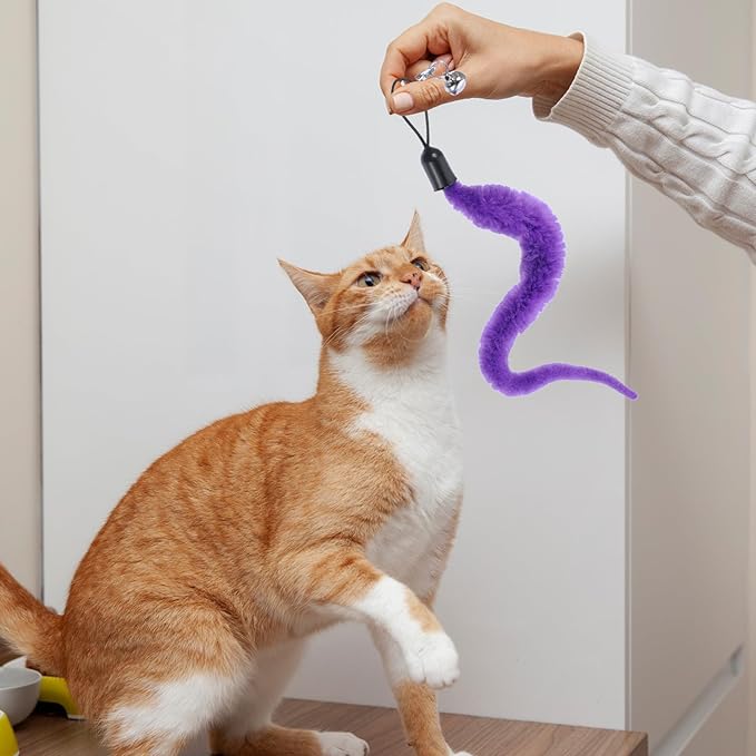 Cat Worm Toy with Foil, 10 PCS Cat Wand Attachments Worms Toy Interactive Cats Wand Attachments Worms Toys for Indoor Cats