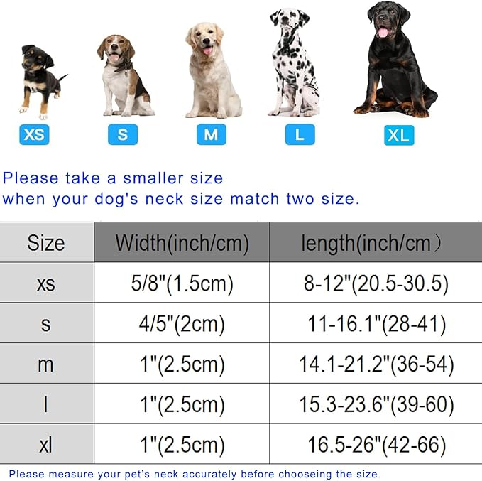 DOGWONG Blue Heart Dog Collar, Cute Valentine Collar, Valentine's Day Dog Collar with Strong Plastic Buckle for Small Medium Large Dogs,L